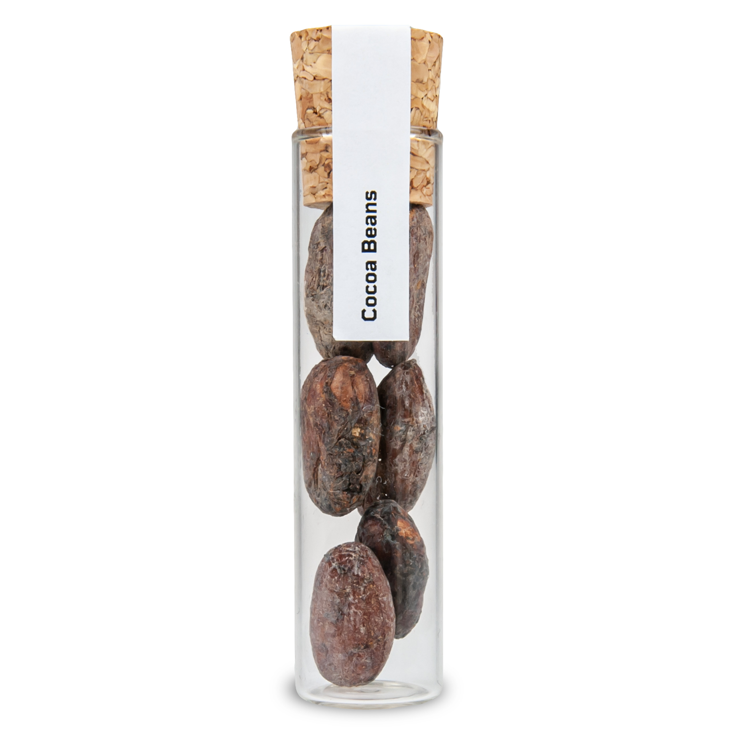 COCOA BEAN GLASS VIAL 10 ML